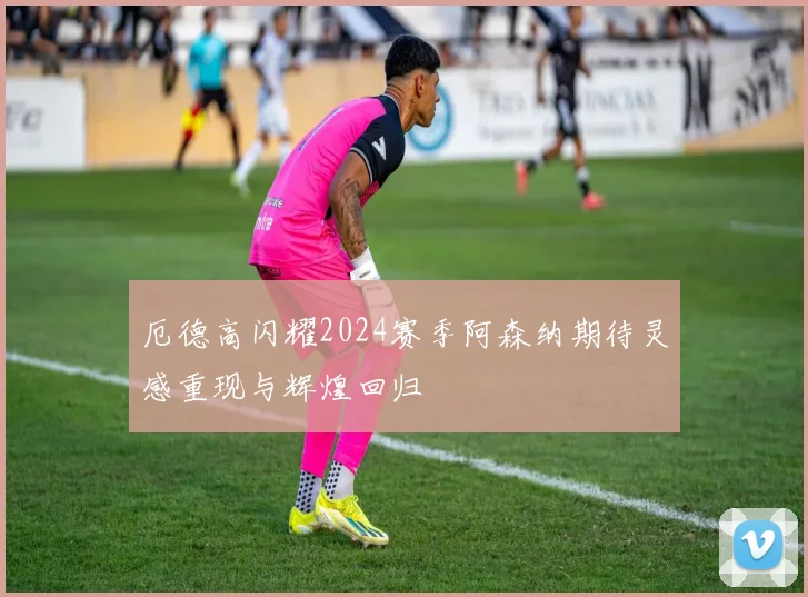 厄德高闪耀2024赛季阿森纳期待灵感重现与辉煌回归