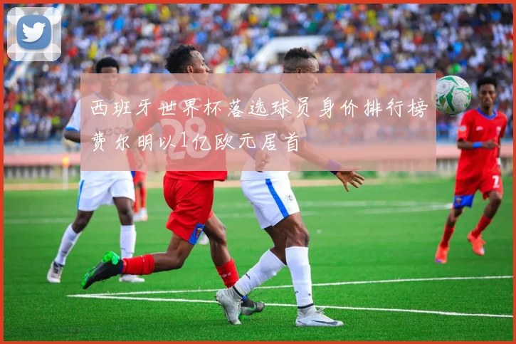 西班牙世界杯落选球员身价排行榜费尔明以1亿欧元居首