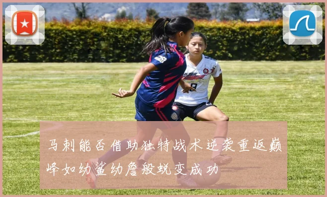 马刺能否借助独特战术逆袭重返巅峰如幼鲨幼詹般蜕变成功